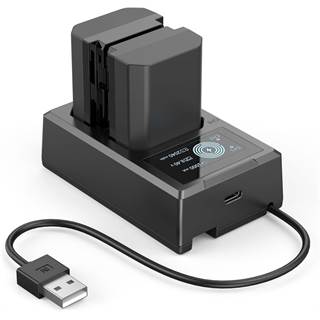 SMALLRIG Lot de 2 Batteries NP-FZ100 avec Chargeur LCD pour Sony