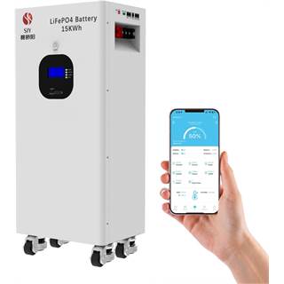 Batterie Lithium LiFePO4 16kWh 48V 314Ah - Idéal Solaire & Off-Grid