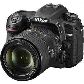 Nikon D7500 + AF-S DX NIKKOR 18-300mm VR : le reflex polyvalent ultime