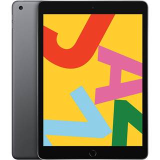 Apple iPad 10,2 pouces (7e gén.) Wi-Fi 128 Go Gris Sidéral Reconditionné