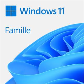 Microsoft Windows 11 Famille - Téléchargement numérique