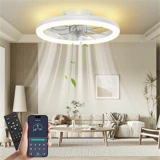 Ventilateur de Plafond Nalezuns 40cm - LED & Smart Control