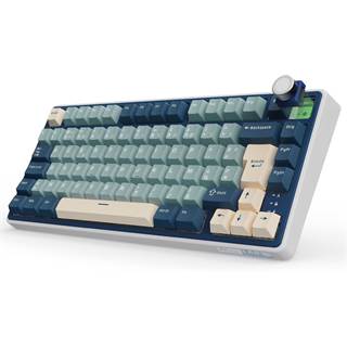 RK R75 Clavier Gamer Mécanique 75% Gasket Hot Swap RGB Sans Fil