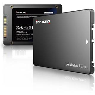 fanxiang S101 256 Go SSD interne SATA III – Noir