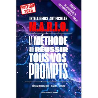 Intelligence Artificielle : La Méthode pour Réussir tous vos Prompts