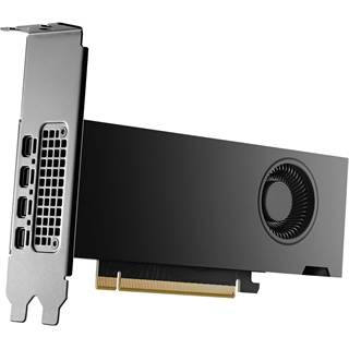 PNY RTX 2000 Ada Generation 16 Go - Carte Graphique Pro
