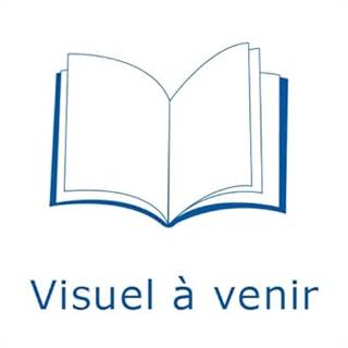 GTA VI : le guide de jeu non officiel - Guide complet