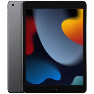 Apple iPad 10,2" Wi-Fi 64 Go Gris Sidéral (2021) Reconditionné