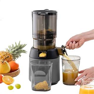 Extracteur de Jus Portable Slow Juicer 300W - Pressage à Froid 13cm